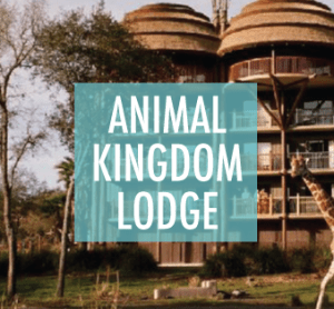 AnimalKingdomLodge