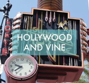 Hollywoodandvine