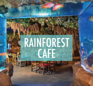 RainforestCafe