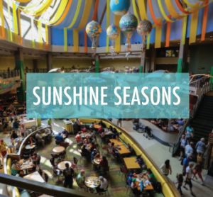 sunshineseasons