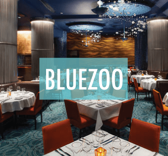 bluezoo