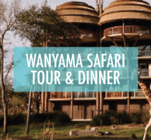 wanyamasafaritour