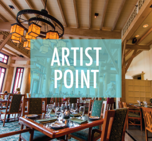 artistpoint
