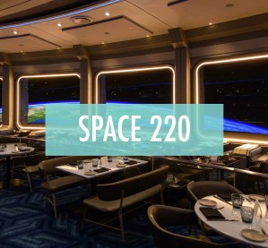 Space220